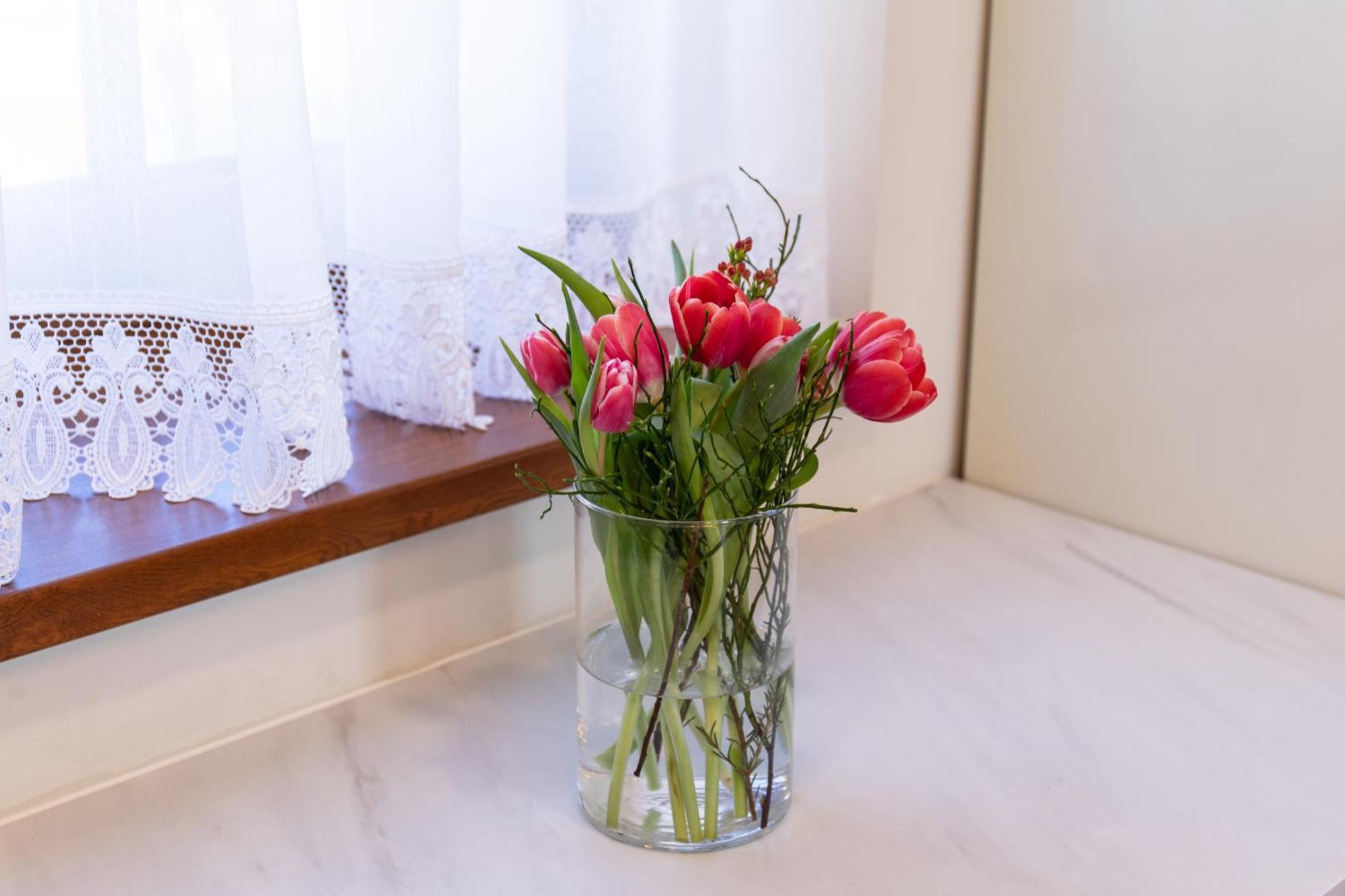 Superior Apartments Vito بليد المظهر الخارجي الصورة